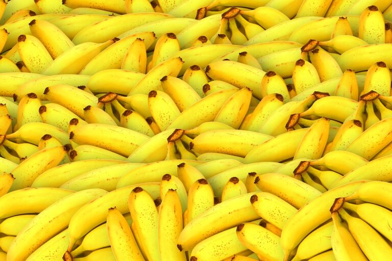 fibra de banana