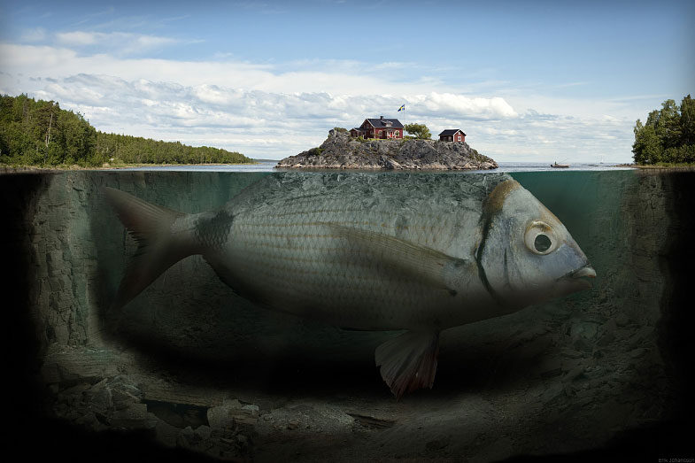 fishy-island-erik-johansson-5198299